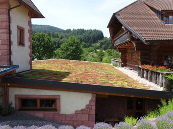 Fördermittel für Gründächer zur Senkung der Investitionskosten und Verbesserung der ökologischen Gebäudebilanz.