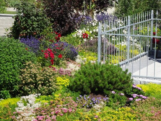 Intensive Dachbegrünung mit vielfältigen Pflanzen, hoher Aufenthaltsqualität und ökologischen Vorteilen für Gebäude und Stadtklima.