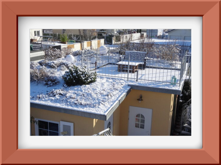 Für eine Schrägdachbegrünung müssen bestimmte Voraussetzungen erfüllt sein, damit das System sicher realisiert werden kann. Eine individuelle Beratung ist hierbei unerlässlich, um sicherzustellen, dass die Begrünung dauerhaft funktioniert und ihre volle Funktionsfähigkeit behält. Grundsätzlich gilt: Je steiler das Dach, desto höher der technische Aufwand und desto sorgfältiger müssen Aufbau, Materialwahl und Sicherung geplant werden.