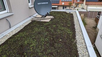 Substrat für Dachbegrünung und Sedum-Sprossen, Vegetationsschicht Gründach.