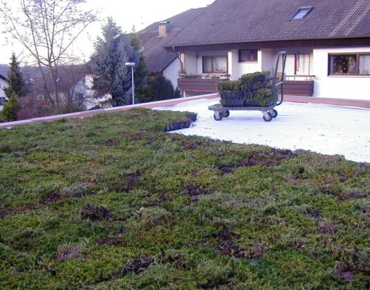 Von Dachbegrünung Schäfer entwickelt. Enthält Wasserspeicher, Dränage Filtervlies und Substrat. Für die einfache Dachbegrünung.