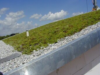 Dachbegrünung für Schrägdächer mit sicherer Absturzsicherung, stabilen Systemschichten und robuster Vegetation.