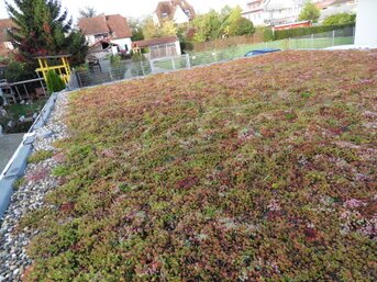 Finanzielle Förderprogramme für Dachbegrünungen zur Unterstützung privater, gewerblicher und kommunaler Projekte.