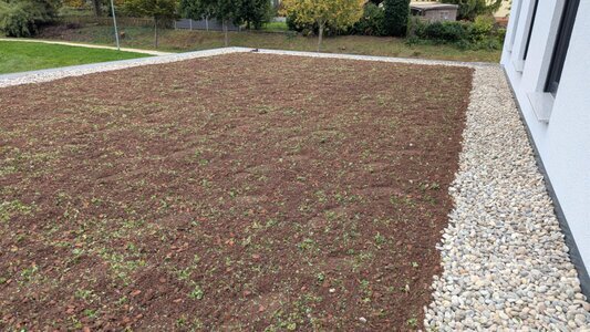 Mit Sedumsprossen ist es eine einfache und günstige Art ein Dach zu begrünen.